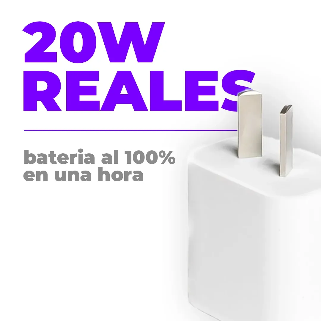 Cargador 20W 4